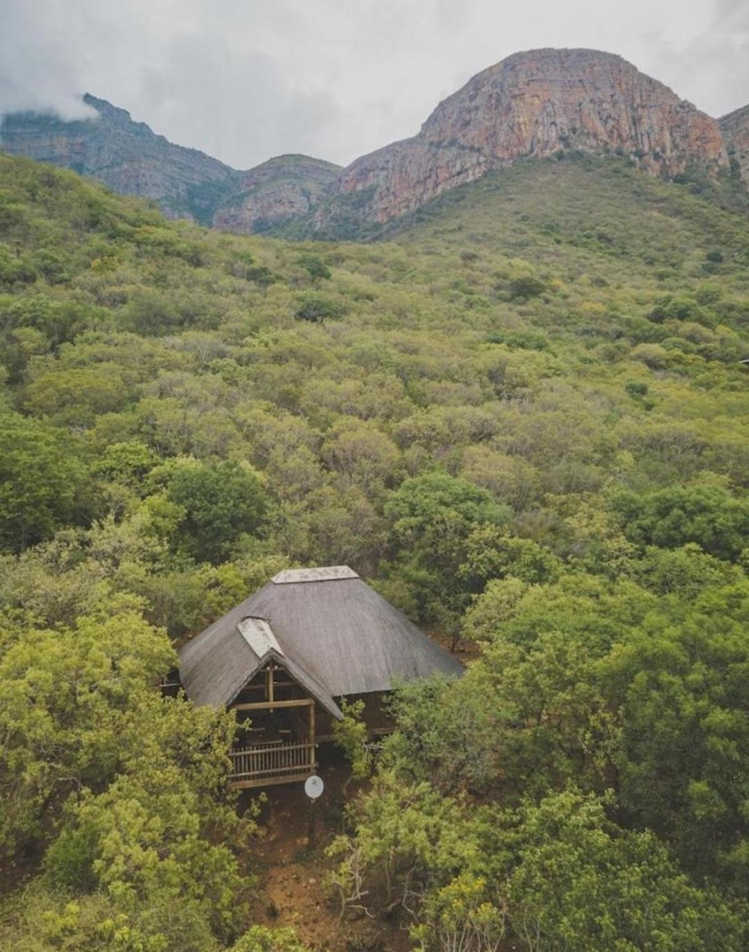 Amafu Forest Lodge Hoedspruit Exterior photo