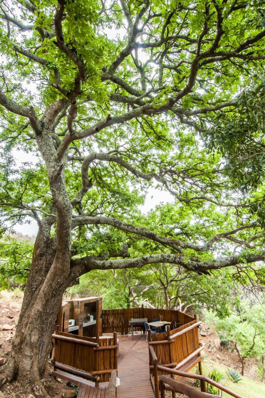 Amafu Forest Lodge Hoedspruit Exterior photo